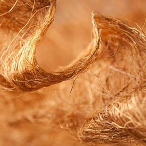 Tỉ lệ sợi cellulose